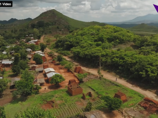 Bringing plant health knowledge to every community